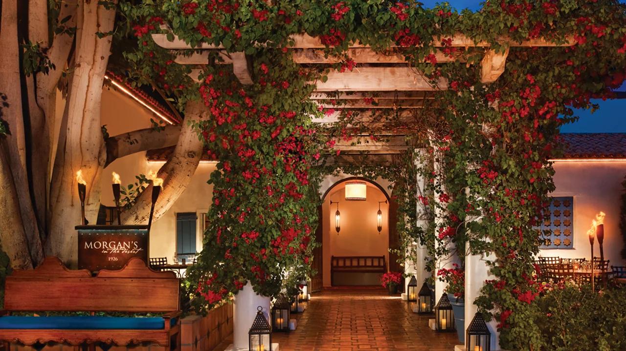 Morgan's in the desert - Image 1